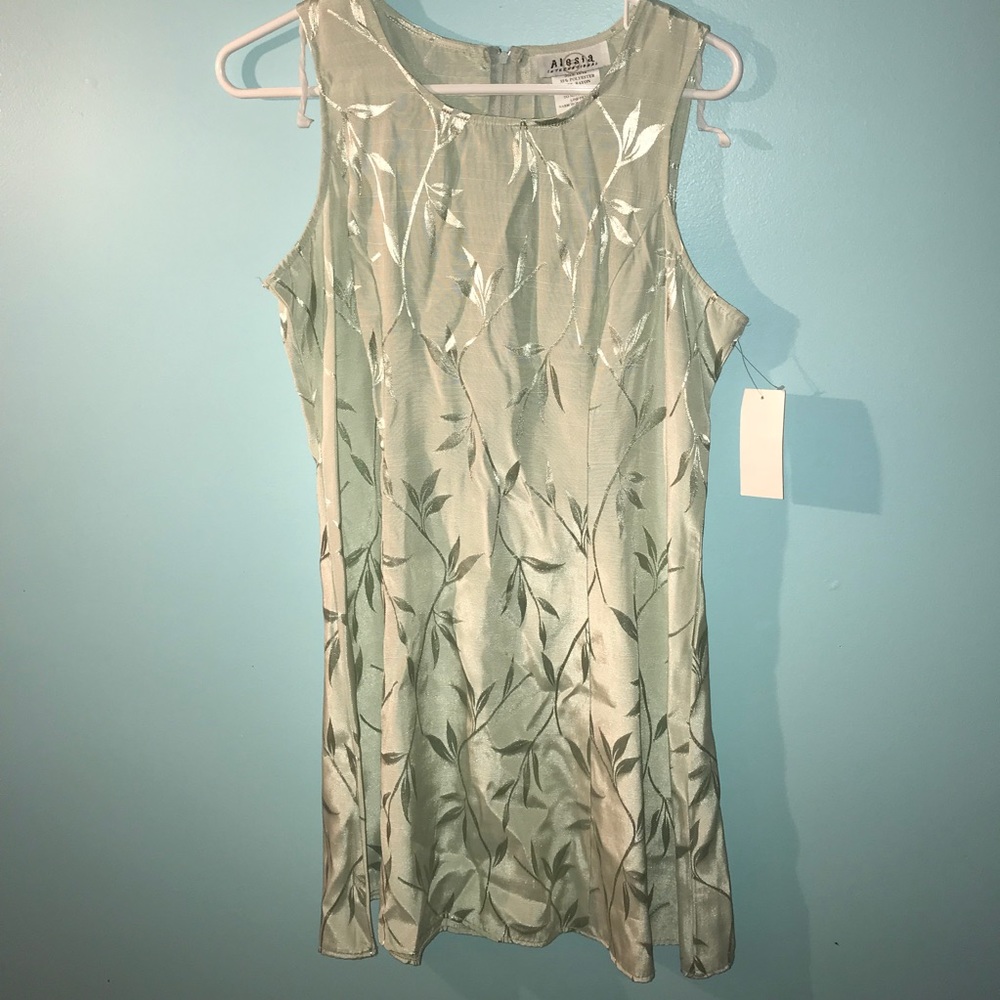 Alesia fitted spring dress NEW WIH TAGS